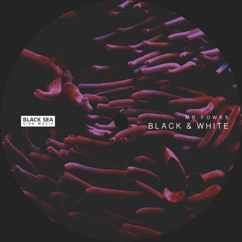 Mr. Fowks – Black & White [BSSM0053]